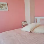 домът на билкарката * بلوفديف