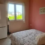 домът на билкарката