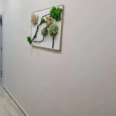 Apartament домът на билкарката *