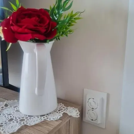домът на билкарката Apartament Płowdiw