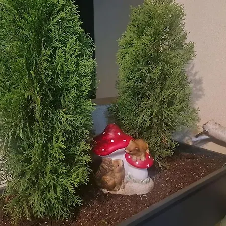 домът на билкарката *