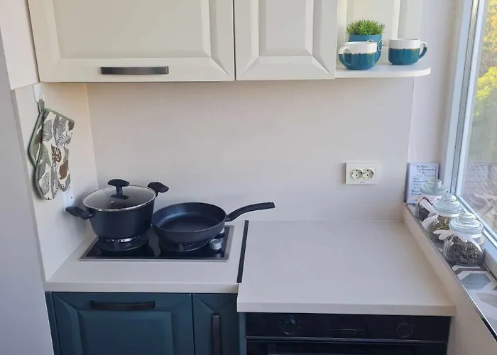 домът на билкарката Lejlighed *