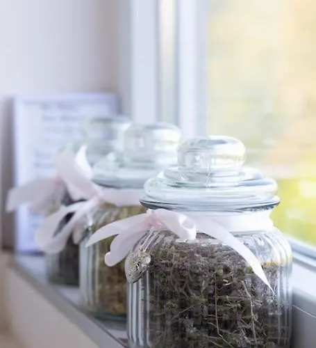 домът на билкарката Lejlighed Plovdiv