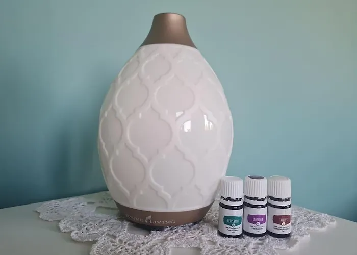 Lejlighed домът на билкарката