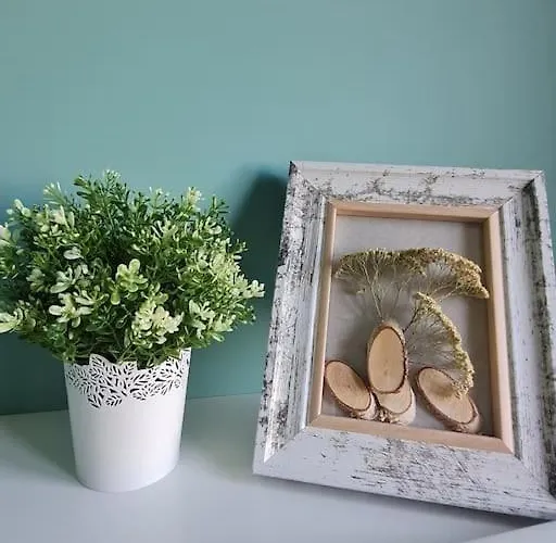 домът на билкарката Lejlighed *