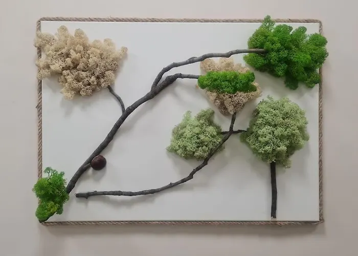 домът на билкарката Lejlighed