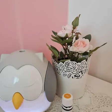 домът на билкарката 普罗夫迪夫