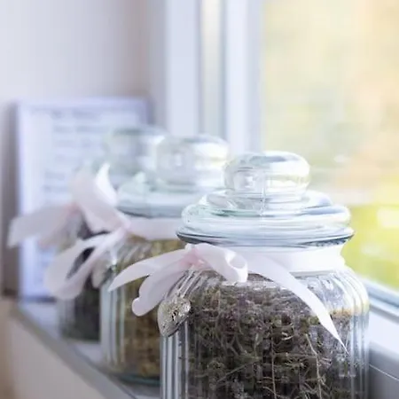 домът на билкарката 公寓 普罗夫迪夫