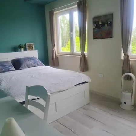 домът на билкарката *