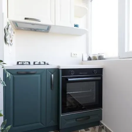 домът на билкарката 公寓 普罗夫迪夫