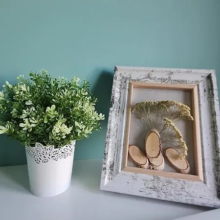 домът на билкарката 公寓 *