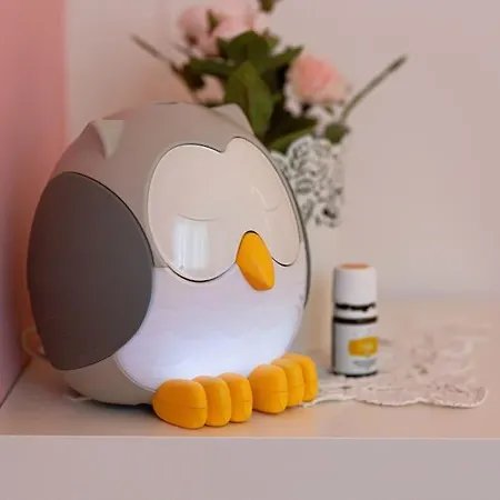 домът на билкарката *