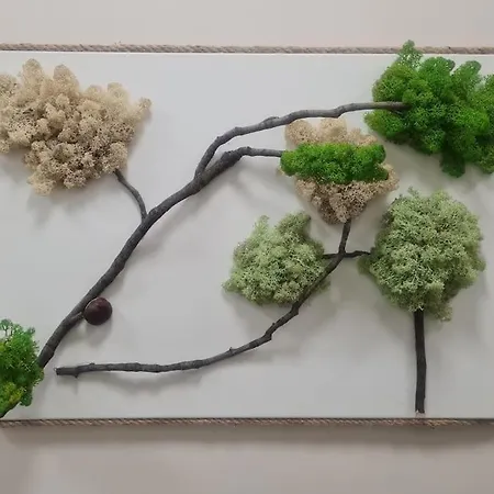 домът на билкарката 公寓