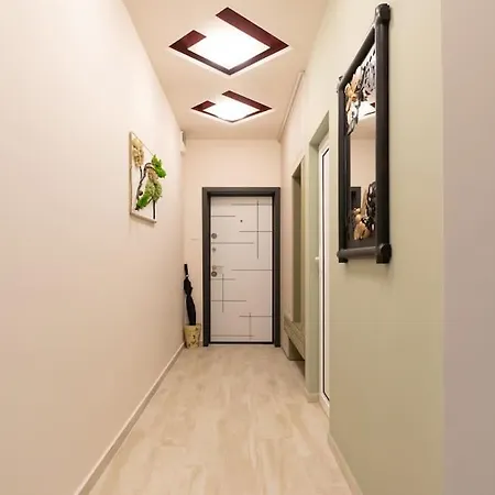 домът на билкарката 公寓 普罗夫迪夫