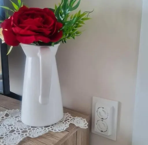 домът на билкарката דירה פלובדיב