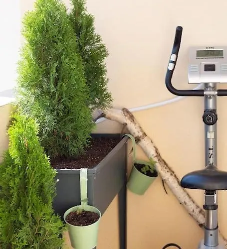 домът на билкарката