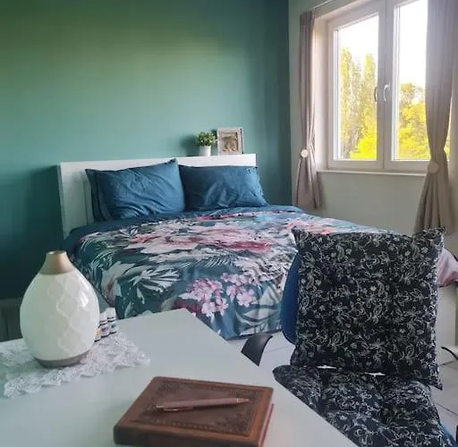 домът на билкарката