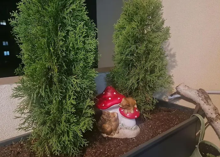 домът на билкарката *