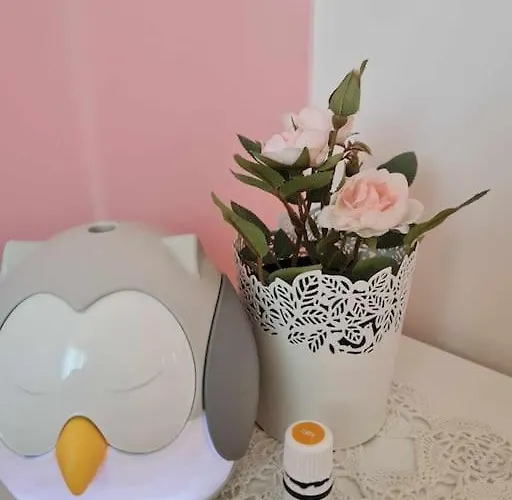 домът на билкарката 普罗夫迪夫