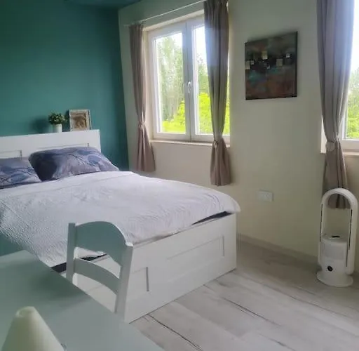 домът на билкарката *