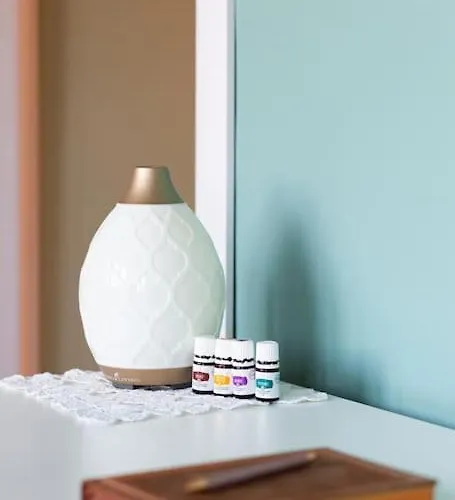 домът на билкарката 公寓 普罗夫迪夫