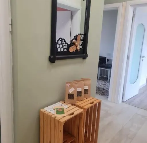 домът на билкарката 普罗夫迪夫