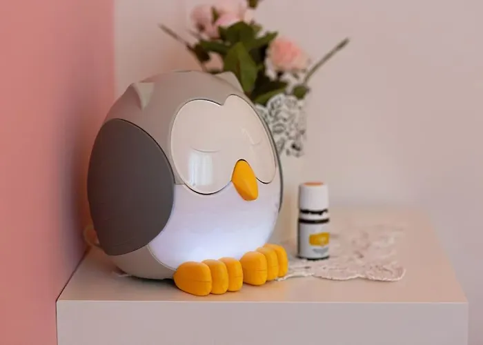 домът на билкарката *