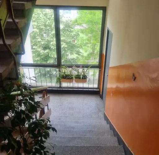 домът на билкарката *